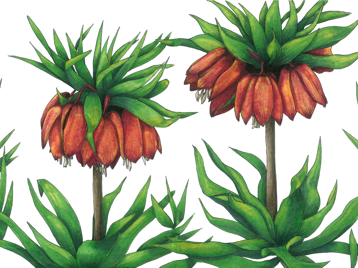 A green and red-orange floral print by Elizabeth Iadicicco.
