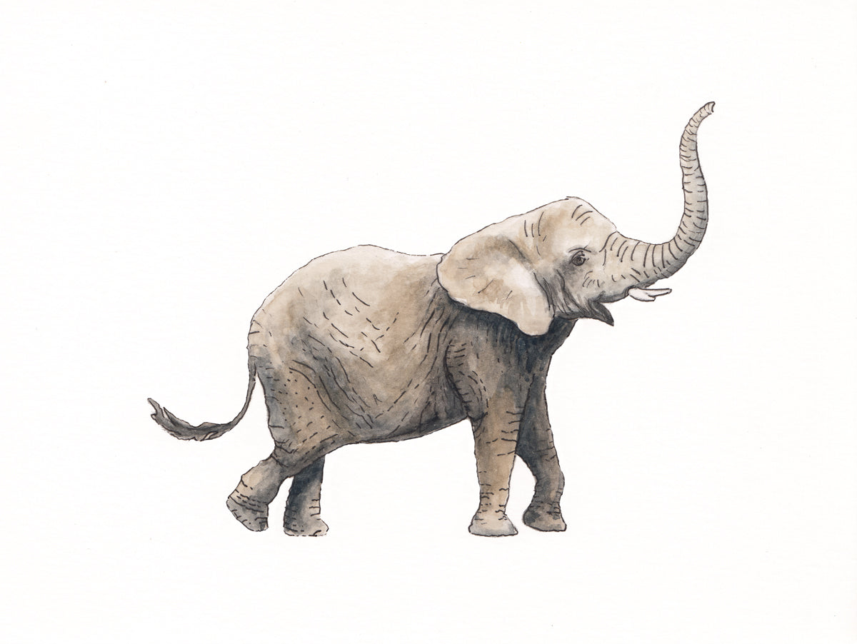 A grey, tan and black elephant print by Laerta Premto.