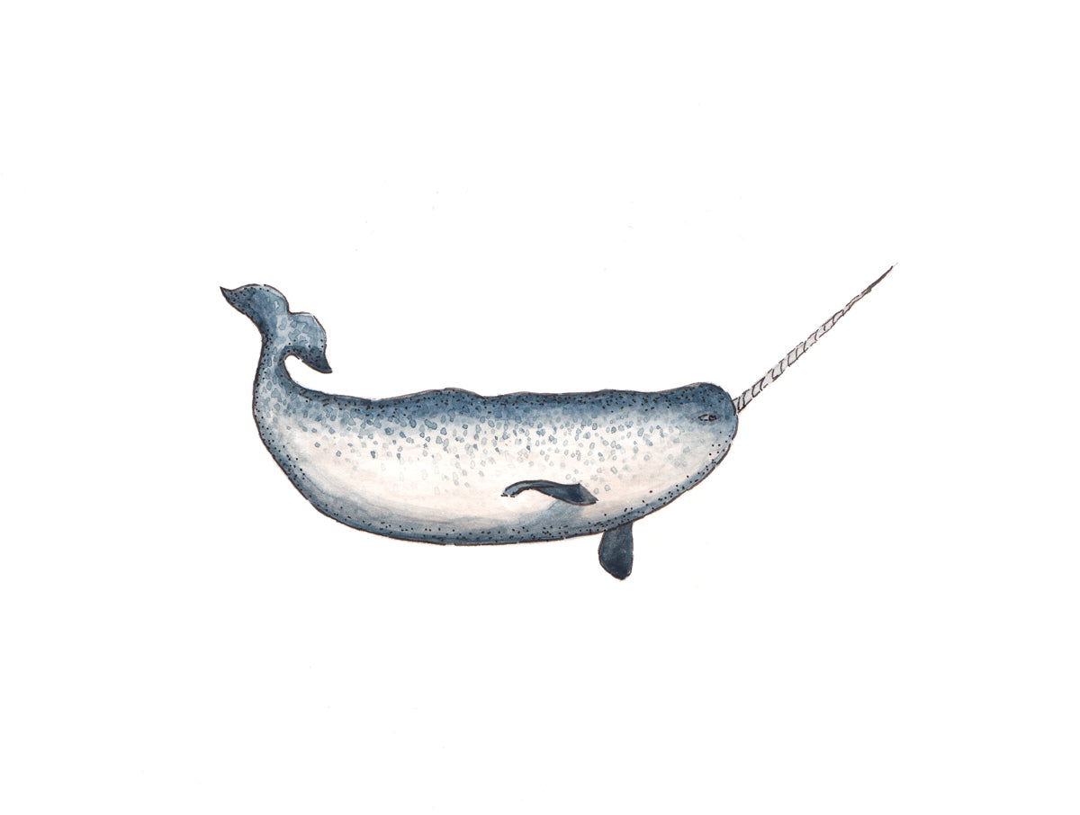 A blue and white narwhal print by Laerta Premto.