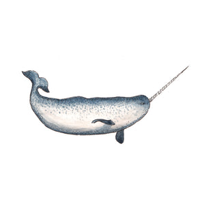 A blue, white and black illustration drawing of a narwhal sea creature by Laerta Premto.