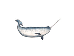 Nimble Narwhal - Open Edition Print