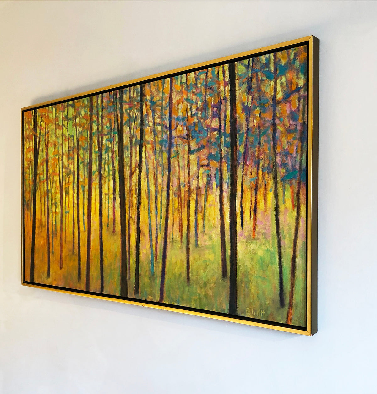 In the Colorful Forest