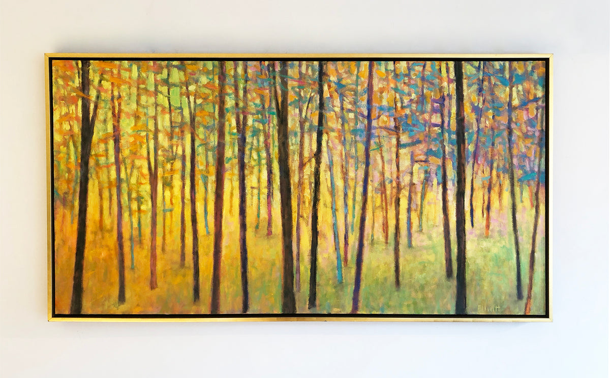 In the Colorful Forest