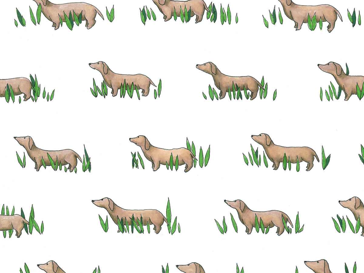 An illustration of brown dachshund dogs standing in green leaves by Elizabeth Iadicicco. 