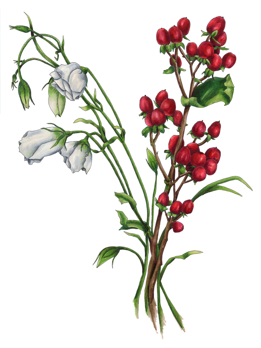 A print of a bouquet of white flowers and red buds.  
